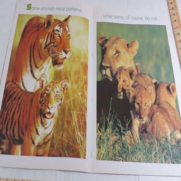 Patterns Everywhere BIG BOOK (almost 2 feet tall) with teacher pages CLASSROOM - Picture 12 of 16